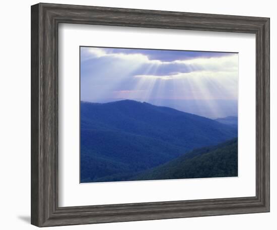 Sunrise over Buck Hollow, Shenandoah National Park, Virginia, USA-Charles Gurche-Framed Photographic Print