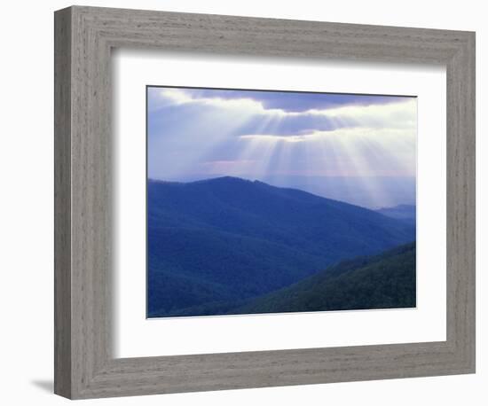 Sunrise over Buck Hollow, Shenandoah National Park, Virginia, USA-Charles Gurche-Framed Photographic Print