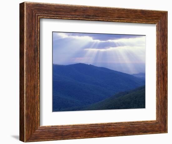 Sunrise over Buck Hollow, Shenandoah National Park, Virginia, USA-Charles Gurche-Framed Photographic Print