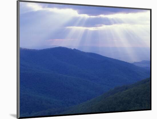 Sunrise over Buck Hollow, Shenandoah National Park, Virginia, USA-Charles Gurche-Mounted Photographic Print