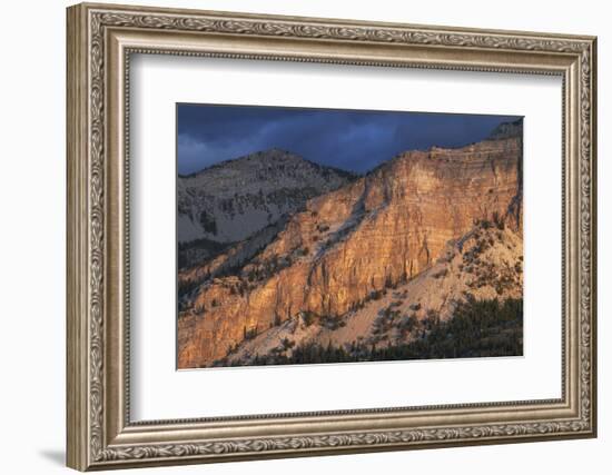 Sunrise over Castle Reef Mountain. Rocky Mountain front ranges near Augusta, Montana.-Alan Majchrowicz-Framed Photographic Print