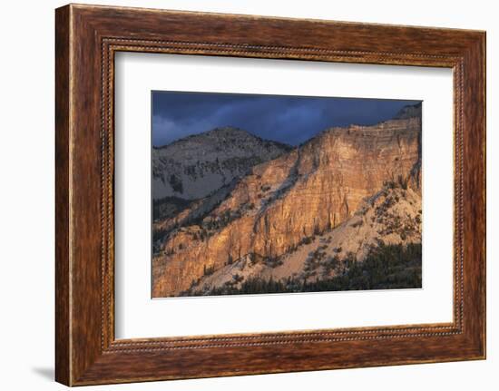 Sunrise over Castle Reef Mountain. Rocky Mountain front ranges near Augusta, Montana.-Alan Majchrowicz-Framed Photographic Print