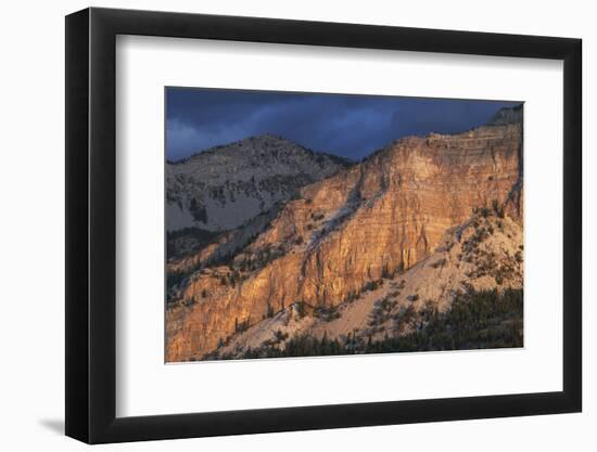 Sunrise over Castle Reef Mountain. Rocky Mountain front ranges near Augusta, Montana.-Alan Majchrowicz-Framed Photographic Print