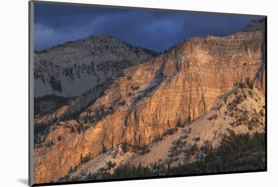 Sunrise over Castle Reef Mountain. Rocky Mountain front ranges near Augusta, Montana.-Alan Majchrowicz-Mounted Photographic Print