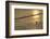 Sunrise over Coastal Mudflats with Shelduck Feeding, Campfield Marsh, Solway Firth, Cumbria, UK-Peter Cairns-Framed Photographic Print