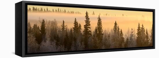 Sunrise over Fairbanks, Alaska, Usa-Christian Heeb-Framed Premier Image Canvas