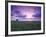 Sunrise over Field Corn, Hermann, Missouri, USA-Chuck Haney-Framed Photographic Print