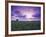 Sunrise over Field Corn, Hermann, Missouri, USA-Chuck Haney-Framed Photographic Print