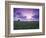 Sunrise over Field Corn, Hermann, Missouri, USA-Chuck Haney-Framed Photographic Print