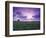 Sunrise over Field Corn, Hermann, Missouri, USA-Chuck Haney-Framed Photographic Print