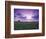 Sunrise over Field Corn, Hermann, Missouri, USA-Chuck Haney-Framed Photographic Print