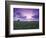 Sunrise over Field Corn, Hermann, Missouri, USA-Chuck Haney-Framed Photographic Print