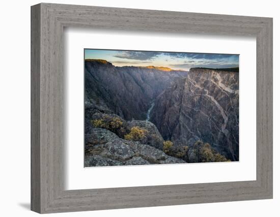 Sunrise over Gorge and Amelanchier, Gunnison River, Black Canyon National Park, Colorado.-Howie Garber-Framed Photographic Print