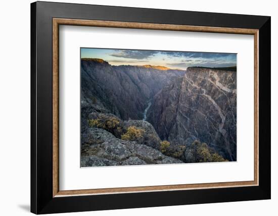 Sunrise over Gorge and Amelanchier, Gunnison River, Black Canyon National Park, Colorado.-Howie Garber-Framed Photographic Print