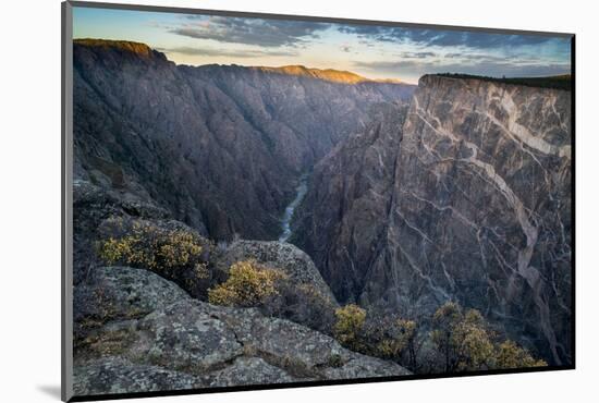 Sunrise over Gorge and Amelanchier, Gunnison River, Black Canyon National Park, Colorado.-Howie Garber-Mounted Photographic Print