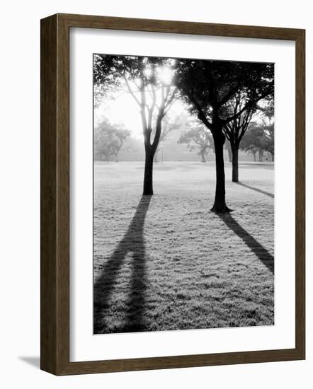 Sunrise Over Kumamoto-Jo Castle-Walter Bibikow-Framed Photographic Print