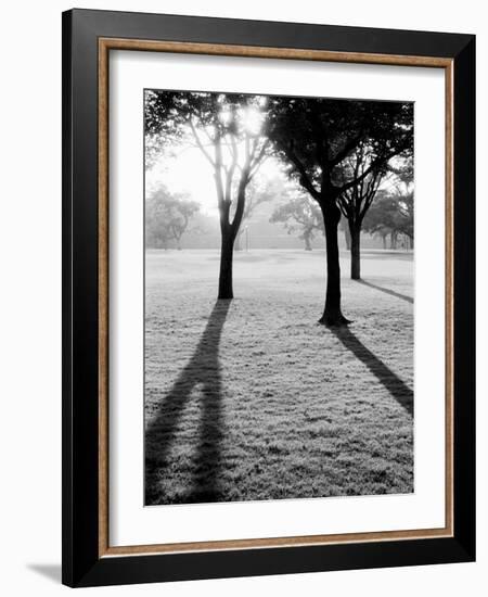 Sunrise Over Kumamoto-Jo Castle-Walter Bibikow-Framed Photographic Print