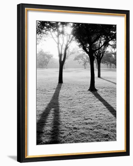 Sunrise Over Kumamoto-Jo Castle-Walter Bibikow-Framed Photographic Print