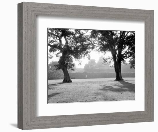 Sunrise Over Kumamoto-Jo Castle-Walter Bibikow-Framed Photographic Print