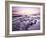 Sunrise Over North Sea from Bamburgh Beach, Bamburgh, Northumberland, England, United Kingdom-Lee Frost-Framed Photographic Print