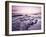 Sunrise Over North Sea from Bamburgh Beach, Bamburgh, Northumberland, England, United Kingdom-Lee Frost-Framed Photographic Print