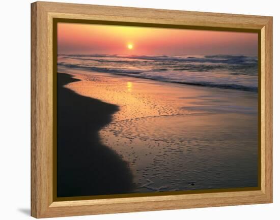 Sunrise over Outer Banks, Cape Hatteras National Seashore, North Carolina, USA-Scott T^ Smith-Framed Premier Image Canvas