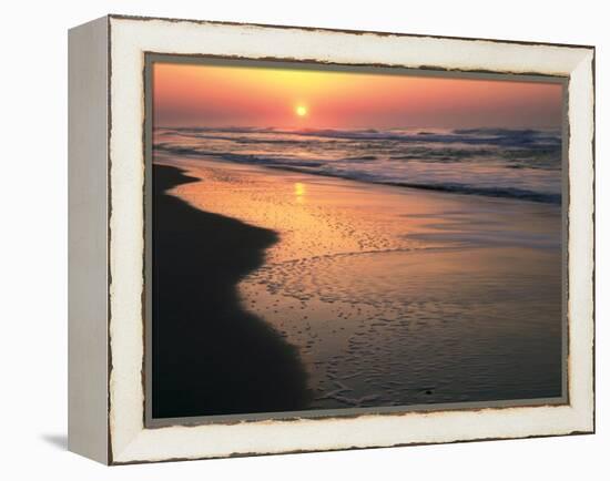 Sunrise over Outer Banks, Cape Hatteras National Seashore, North Carolina, USA-Scott T^ Smith-Framed Premier Image Canvas