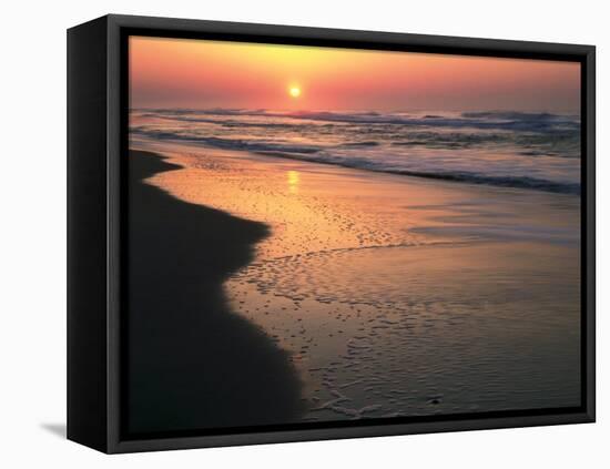 Sunrise over Outer Banks, Cape Hatteras National Seashore, North Carolina, USA-Scott T^ Smith-Framed Premier Image Canvas