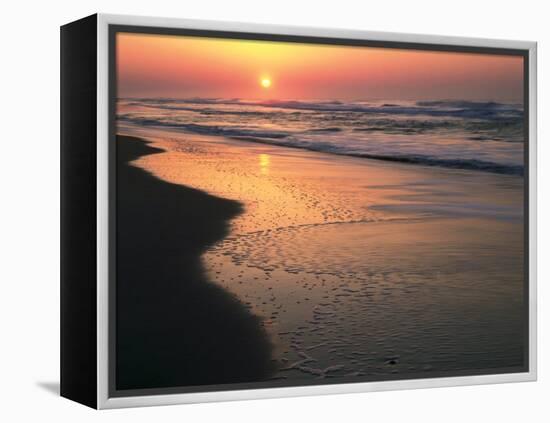 Sunrise over Outer Banks, Cape Hatteras National Seashore, North Carolina, USA-Scott T^ Smith-Framed Premier Image Canvas