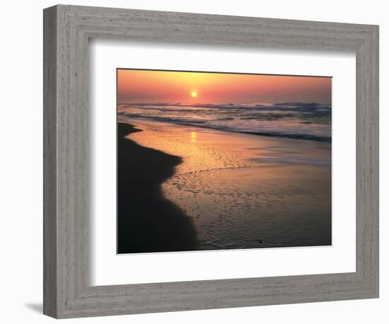 Sunrise over Outer Banks, Cape Hatteras National Seashore, North Carolina, USA-Scott T^ Smith-Framed Photographic Print