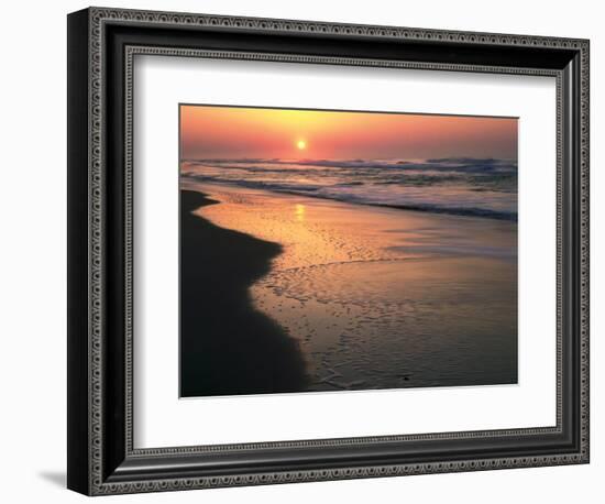 Sunrise over Outer Banks, Cape Hatteras National Seashore, North Carolina, USA-Scott T^ Smith-Framed Photographic Print