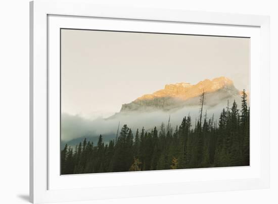 Sunrise Over Pine Tops-Irene Suchocki-Framed Giclee Print