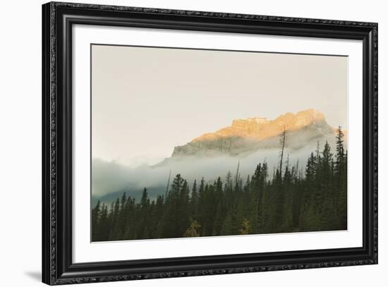 Sunrise Over Pine Tops-Irene Suchocki-Framed Giclee Print