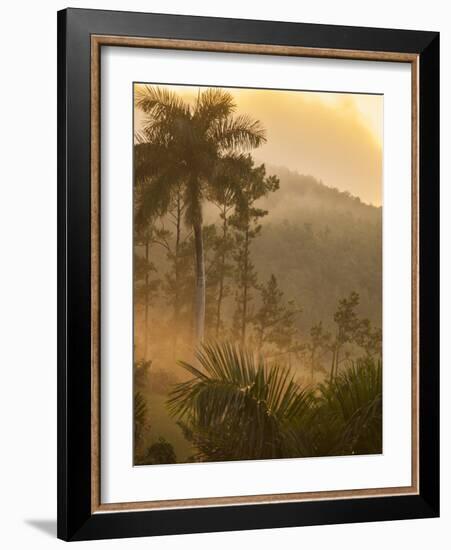 Sunrise over the Farmlands of Vinales Valley, Cuba-Alex Saberi-Framed Photographic Print