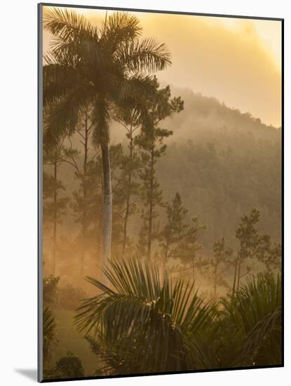 Sunrise over the Farmlands of Vinales Valley, Cuba-Alex Saberi-Mounted Photographic Print