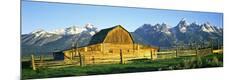 Premium Photographic Print