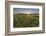 Sunrise over the salt marsh along the Essex River, Essex, Massachusetts.-Jerry & Marcy Monkman-Framed Photographic Print