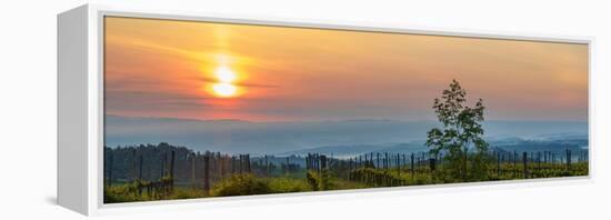 Sunrise over the vineyards of Tuscany. Tuscany, Italy.-Tom Norring-Framed Premier Image Canvas