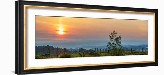 Sunrise over the vineyards of Tuscany. Tuscany, Italy.-Tom Norring-Framed Photographic Print