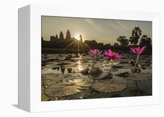Sunrise over the West Entrance to Angkor Wat, Angkor, Siem Reap, Cambodia-Michael Nolan-Framed Premier Image Canvas