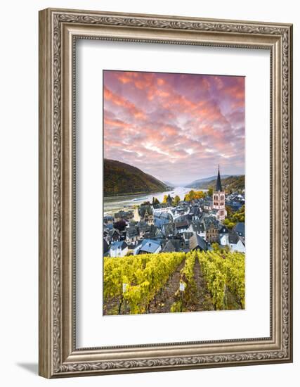 Sunrise over Vineyards, Bacharach, Rhineland-Palatinate, Germany-Matteo Colombo-Framed Photographic Print