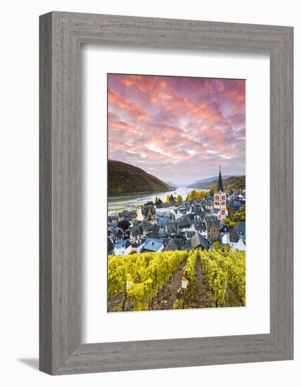 Sunrise over Vineyards, Bacharach, Rhineland-Palatinate, Germany-Matteo Colombo-Framed Photographic Print