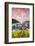 Sunrise over Vineyards, Bacharach, Rhineland-Palatinate, Germany-Matteo Colombo-Framed Photographic Print