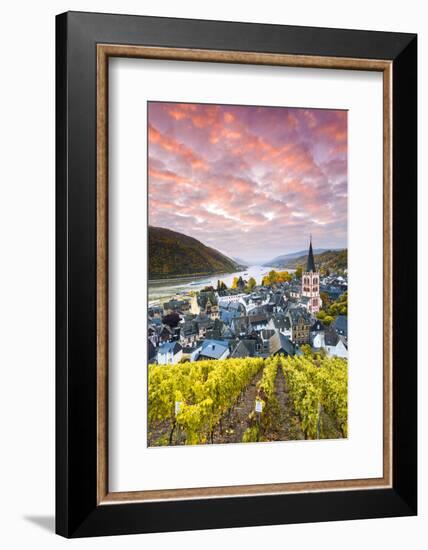 Sunrise over Vineyards, Bacharach, Rhineland-Palatinate, Germany-Matteo Colombo-Framed Photographic Print
