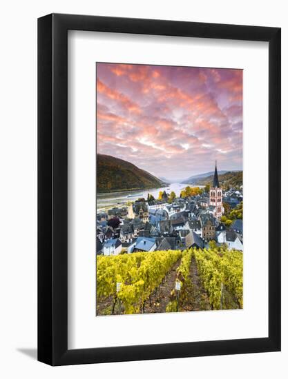 Sunrise over Vineyards, Bacharach, Rhineland-Palatinate, Germany-Matteo Colombo-Framed Photographic Print