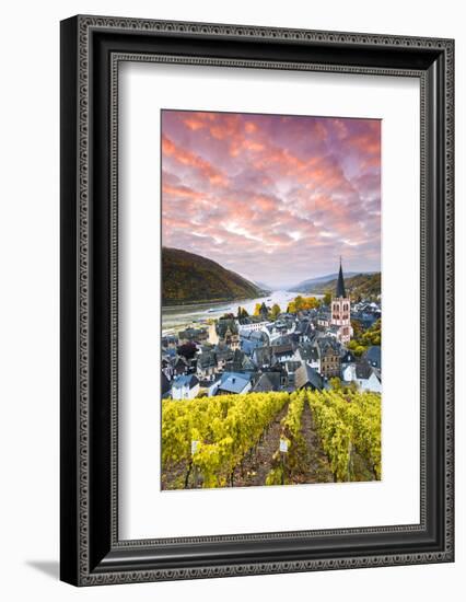 Sunrise over Vineyards, Bacharach, Rhineland-Palatinate, Germany-Matteo Colombo-Framed Photographic Print