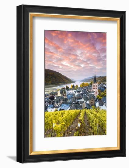 Sunrise over Vineyards, Bacharach, Rhineland-Palatinate, Germany-Matteo Colombo-Framed Photographic Print