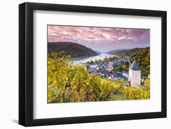 Sunrise over Vineyards, Bacharach, Rhineland-Palatinate, Germany-Matteo Colombo-Framed Photographic Print