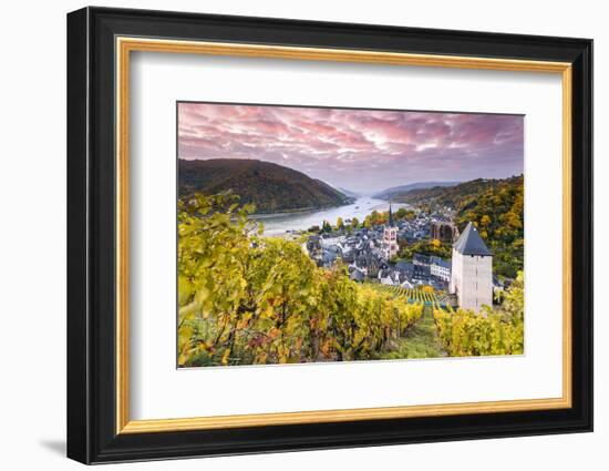 Sunrise over Vineyards, Bacharach, Rhineland-Palatinate, Germany-Matteo Colombo-Framed Photographic Print