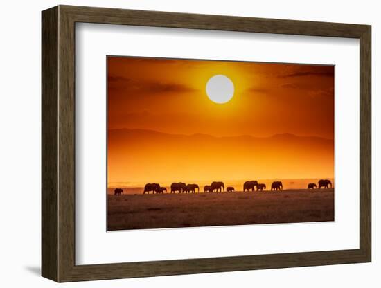 Sunrise parade-Jeffrey C. Sink-Framed Photographic Print